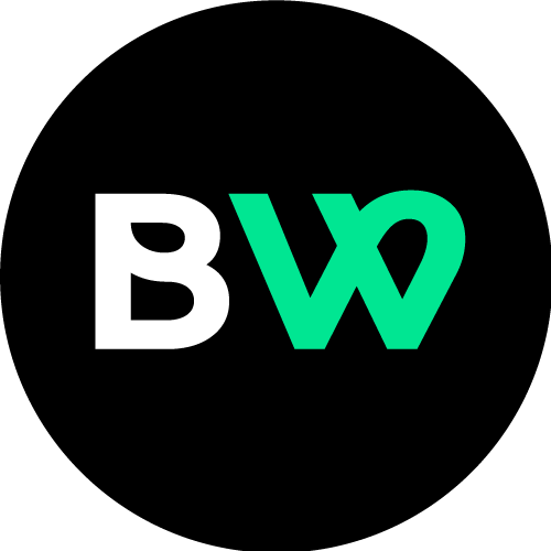 BRANDWEB INDIA - Best Website design agency in India